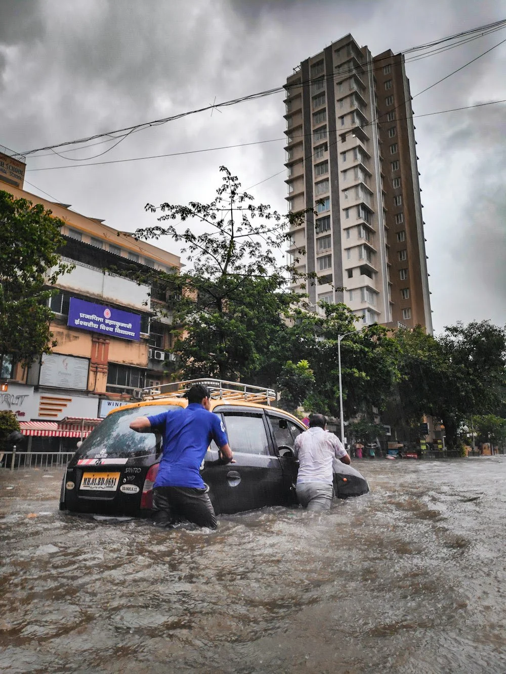 Take Action in the Storm