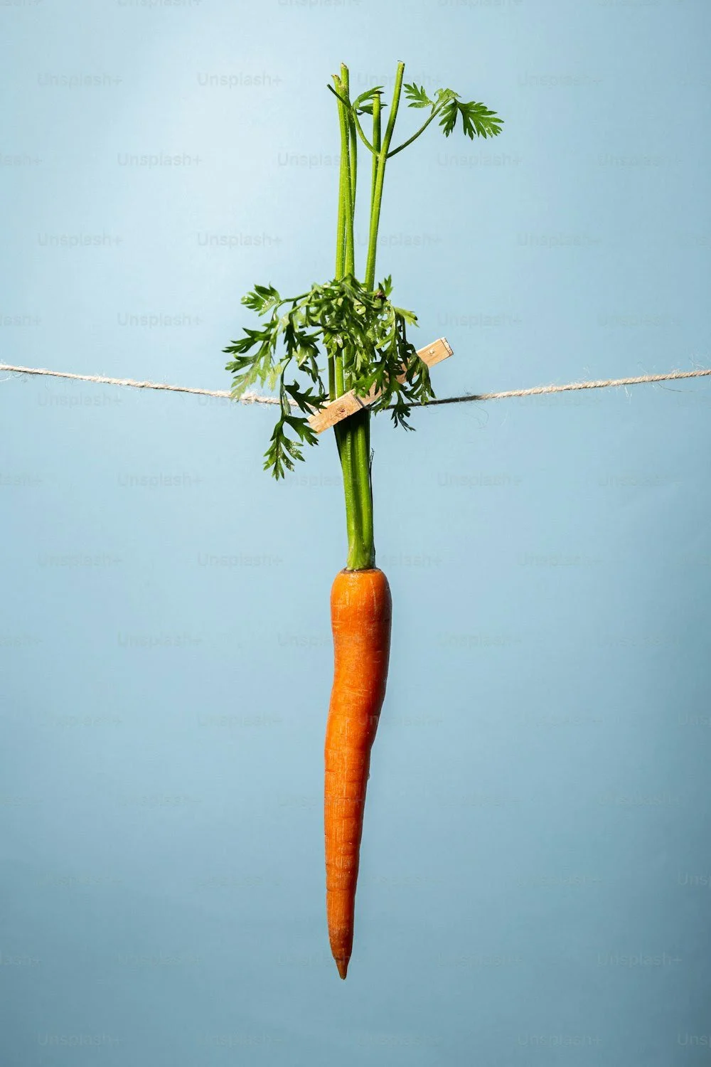Dangle a Carrot Before Them