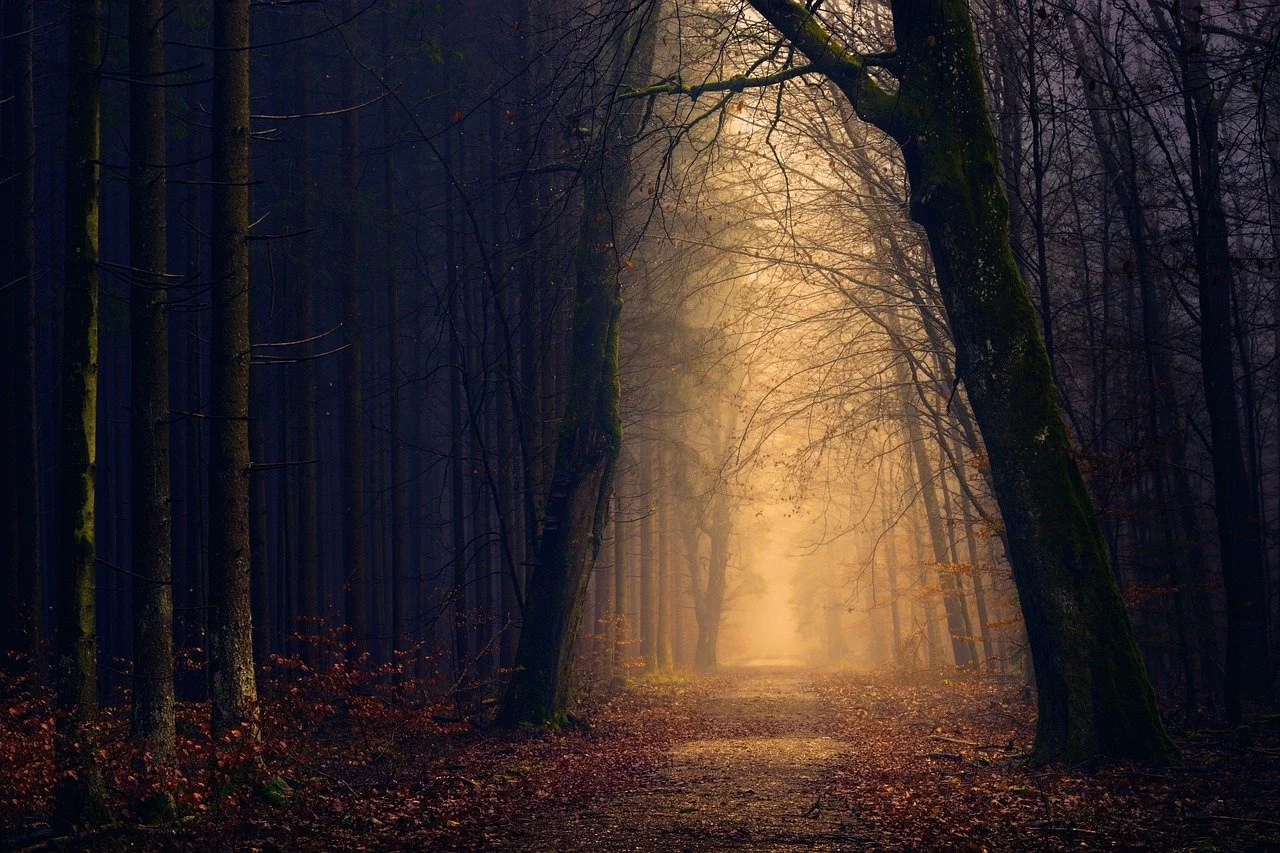 Don’t be Afraid of the Darkness
