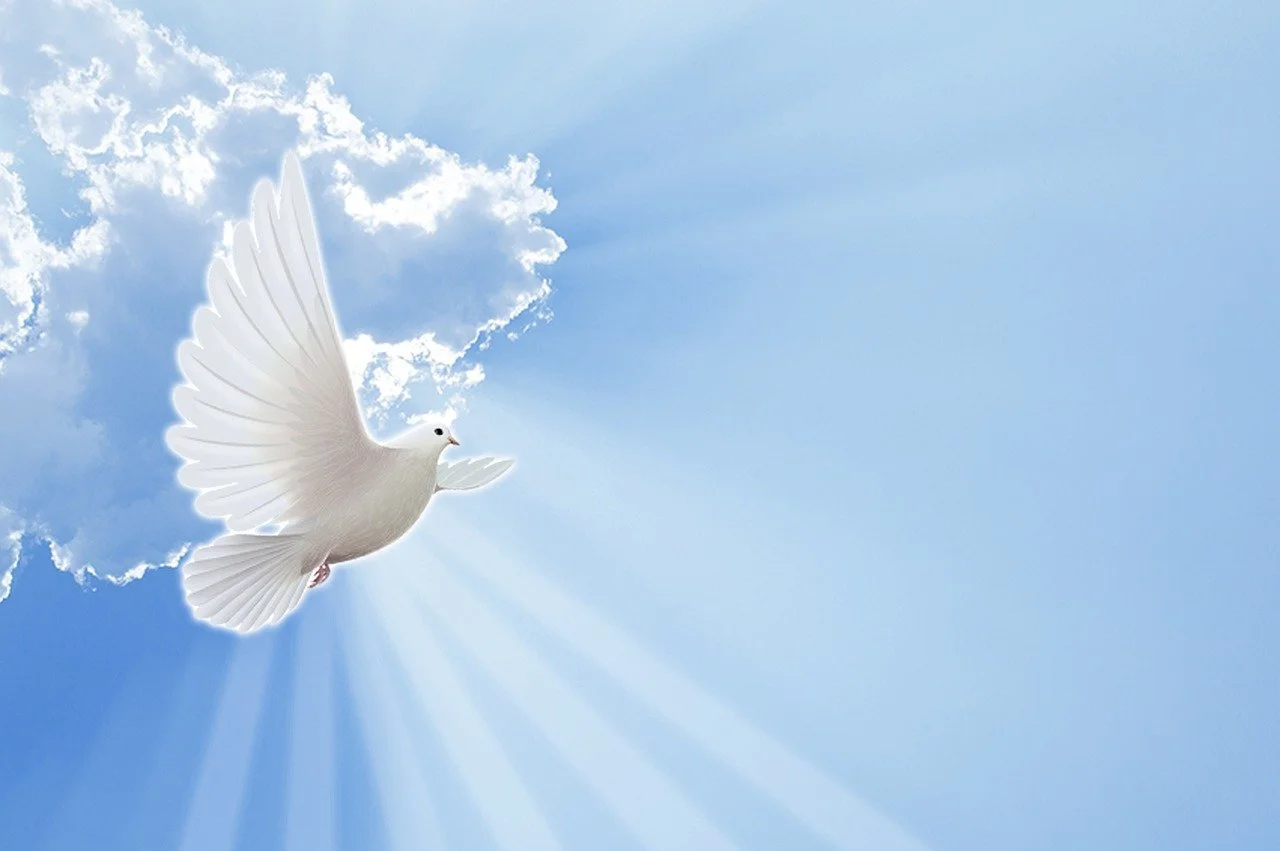 Choose Life in Every Moment