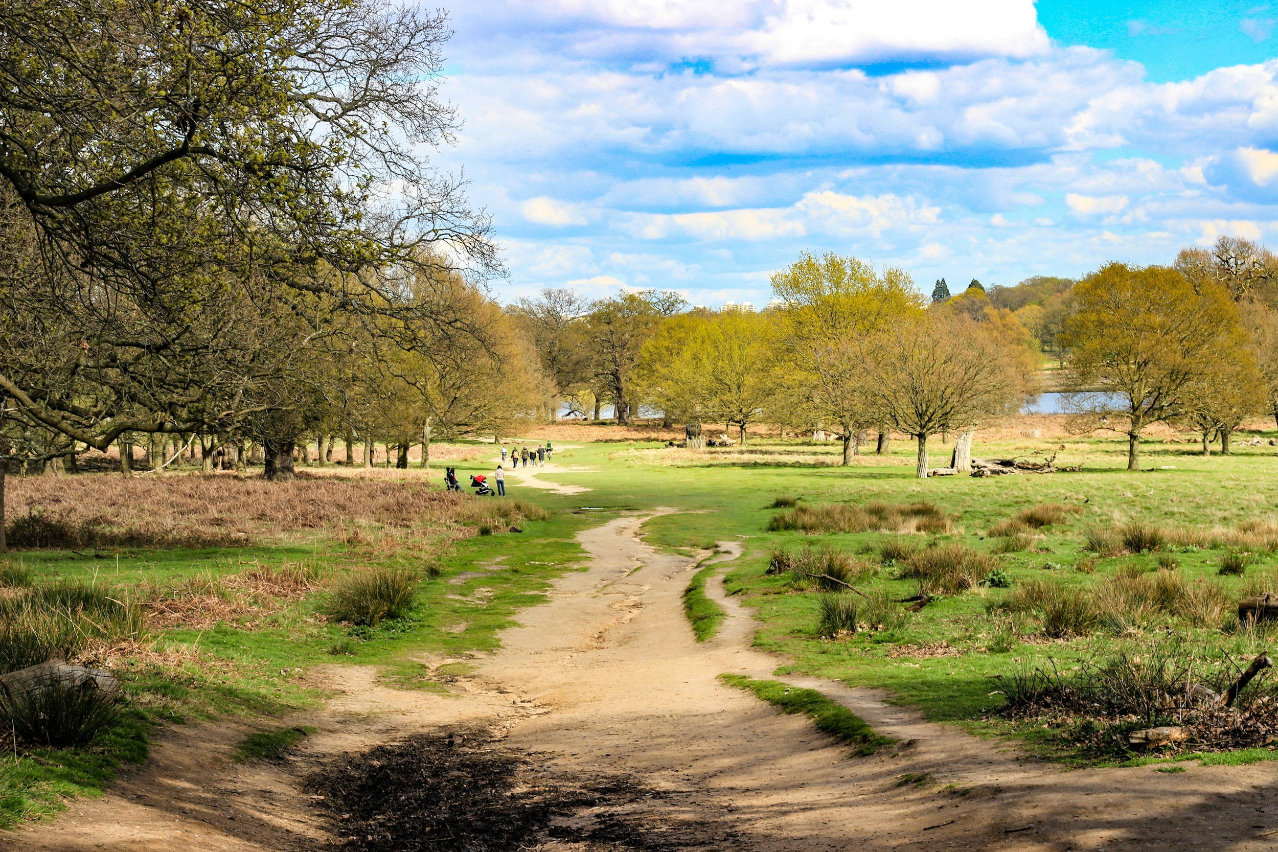 A dirt path leads through a green park with trees on both sides. In the background, people are walking and sitting, and a small water body is visible under a partly cloudy sky.