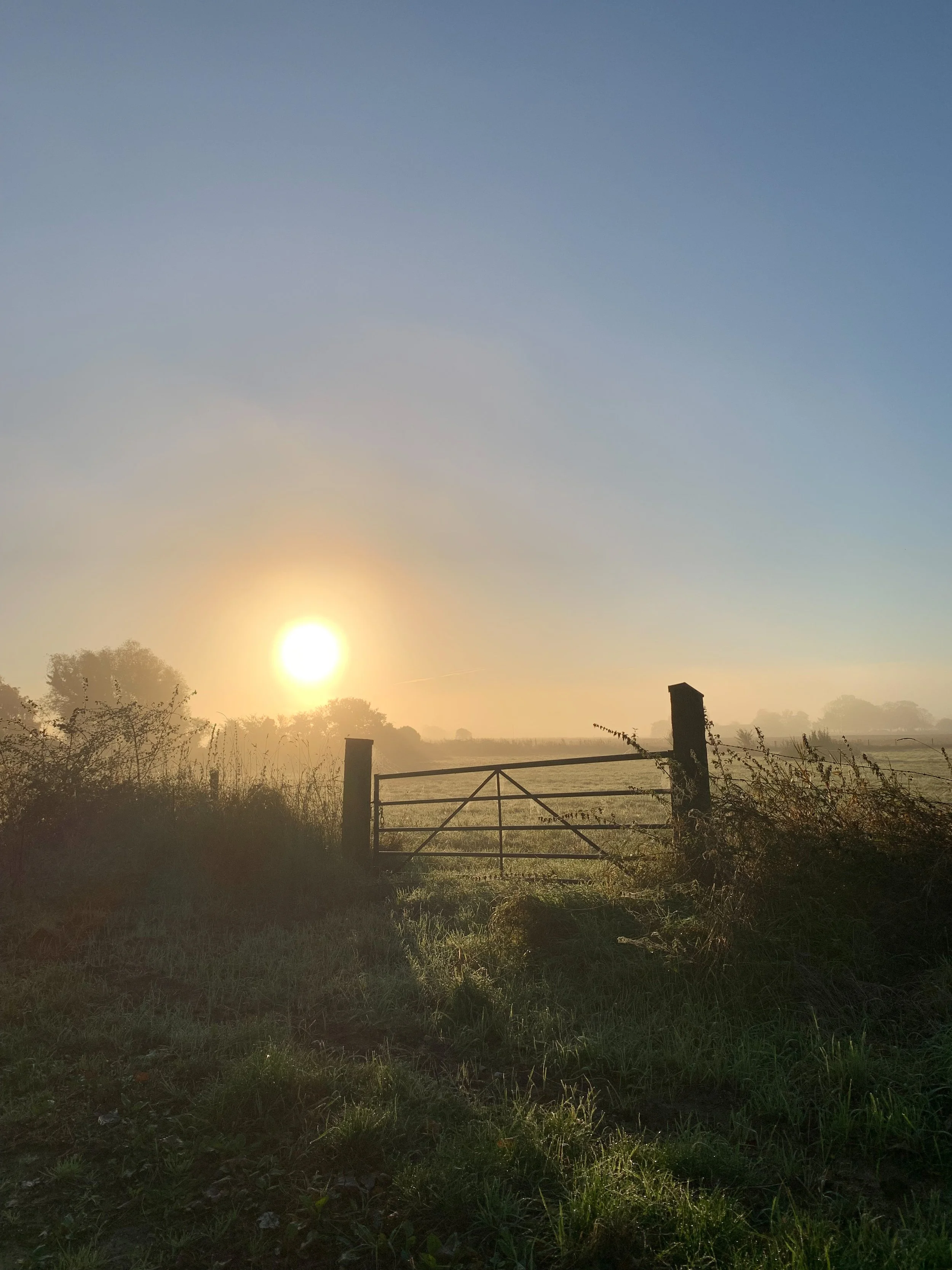 F77F1746-1E27-4BFB-9AB2-35A1797E5099.jpeg