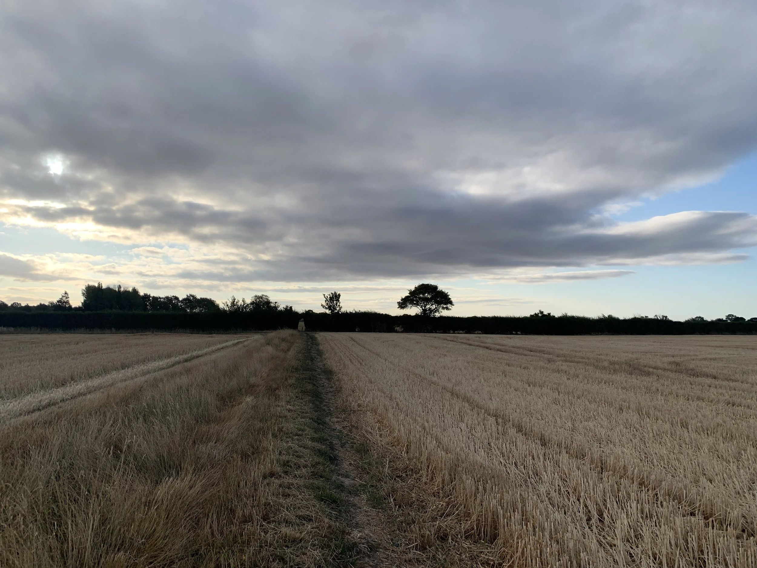 Field Notes: Being Watched