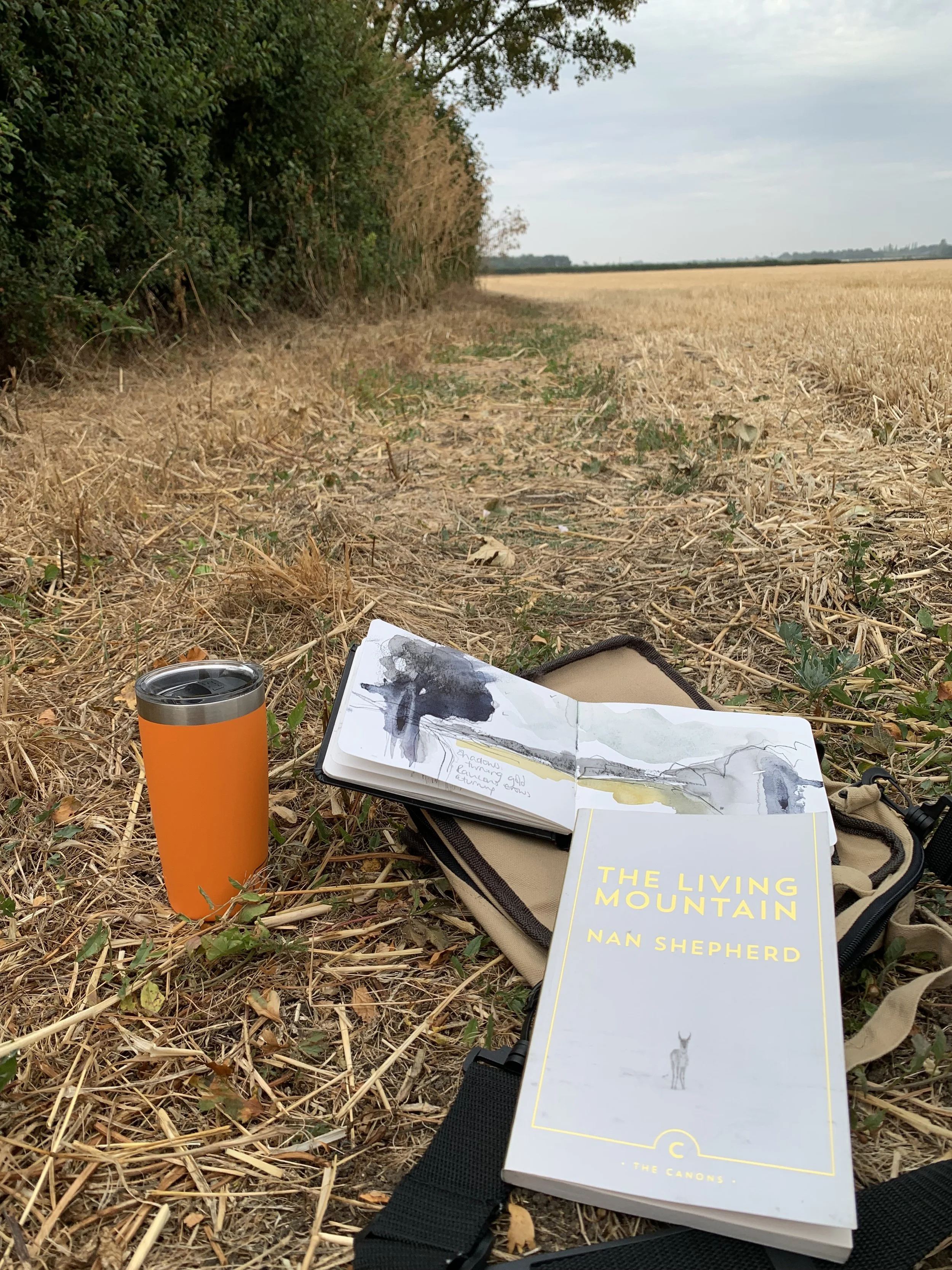 Field Notes: Books That Changed the Way I Notice…