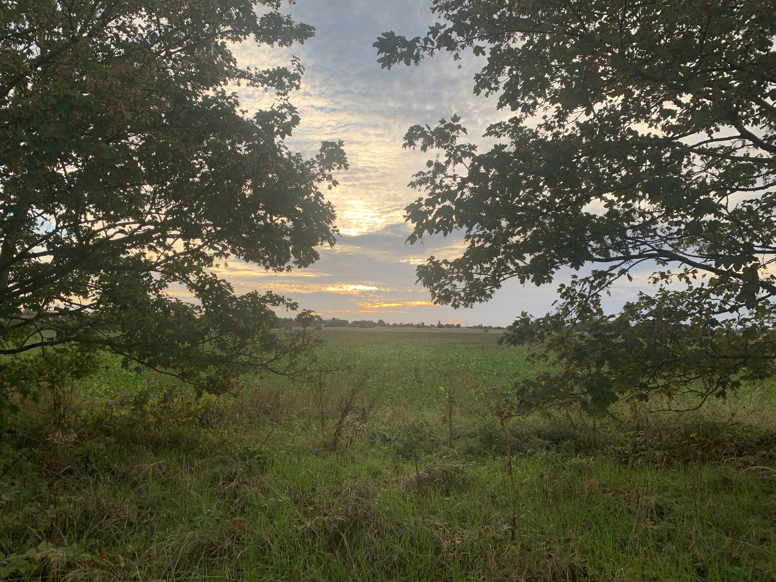 IMG_2520.jpeg