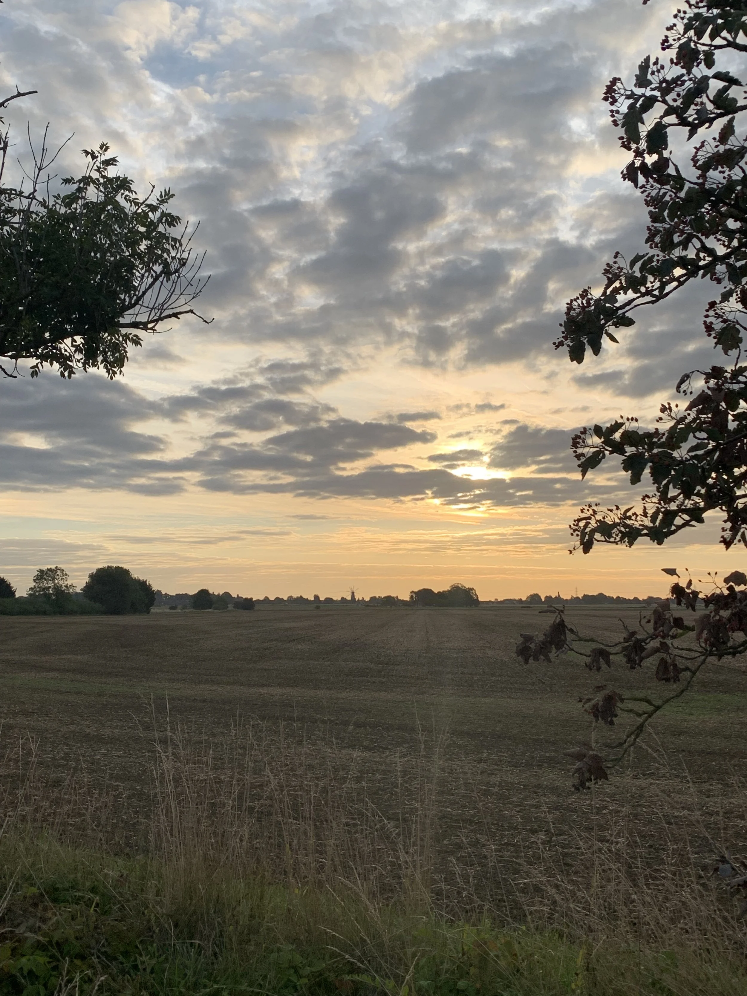 IMG_2633.jpeg