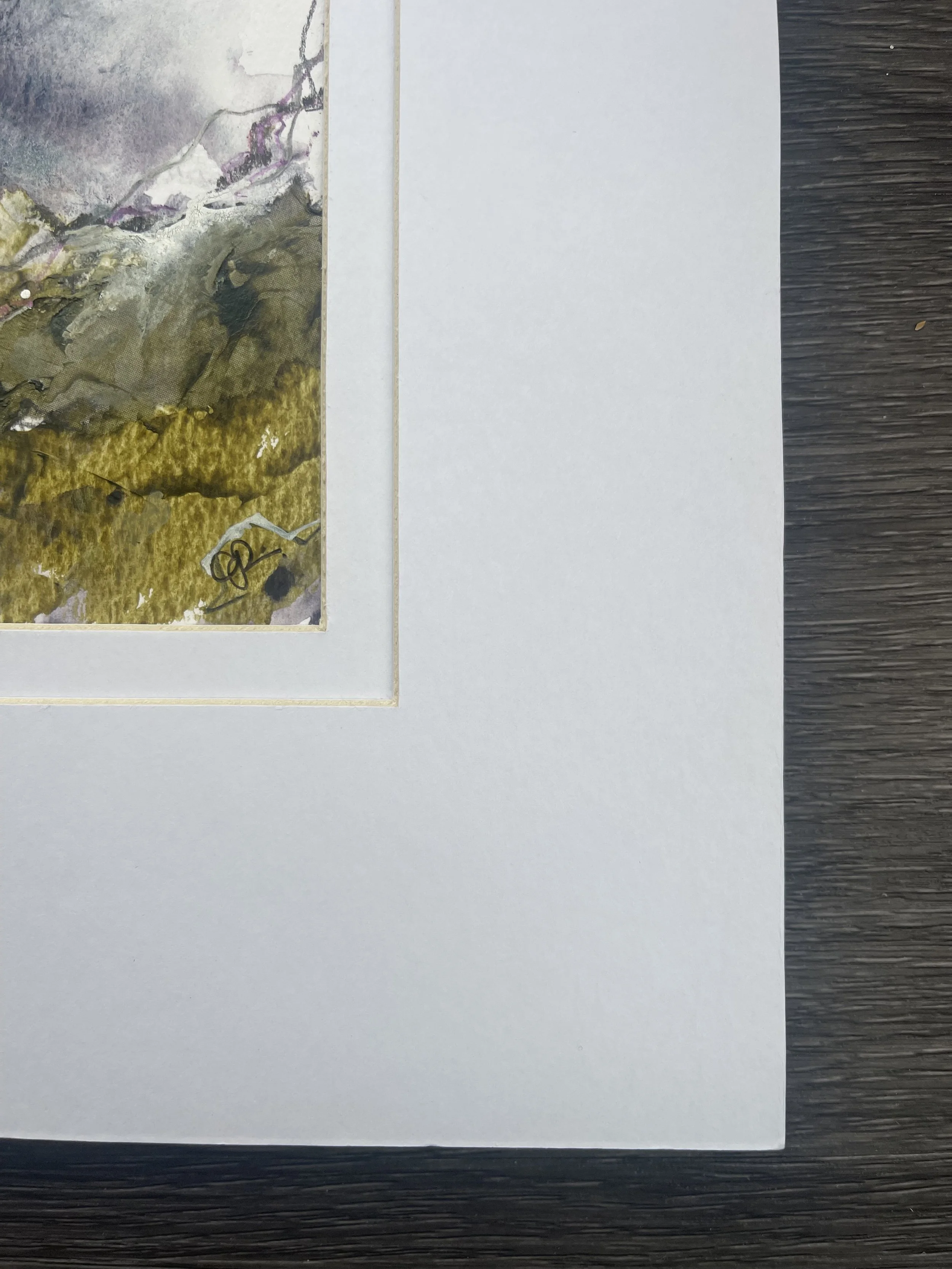 Grey Skies, Winter Days D.jpeg