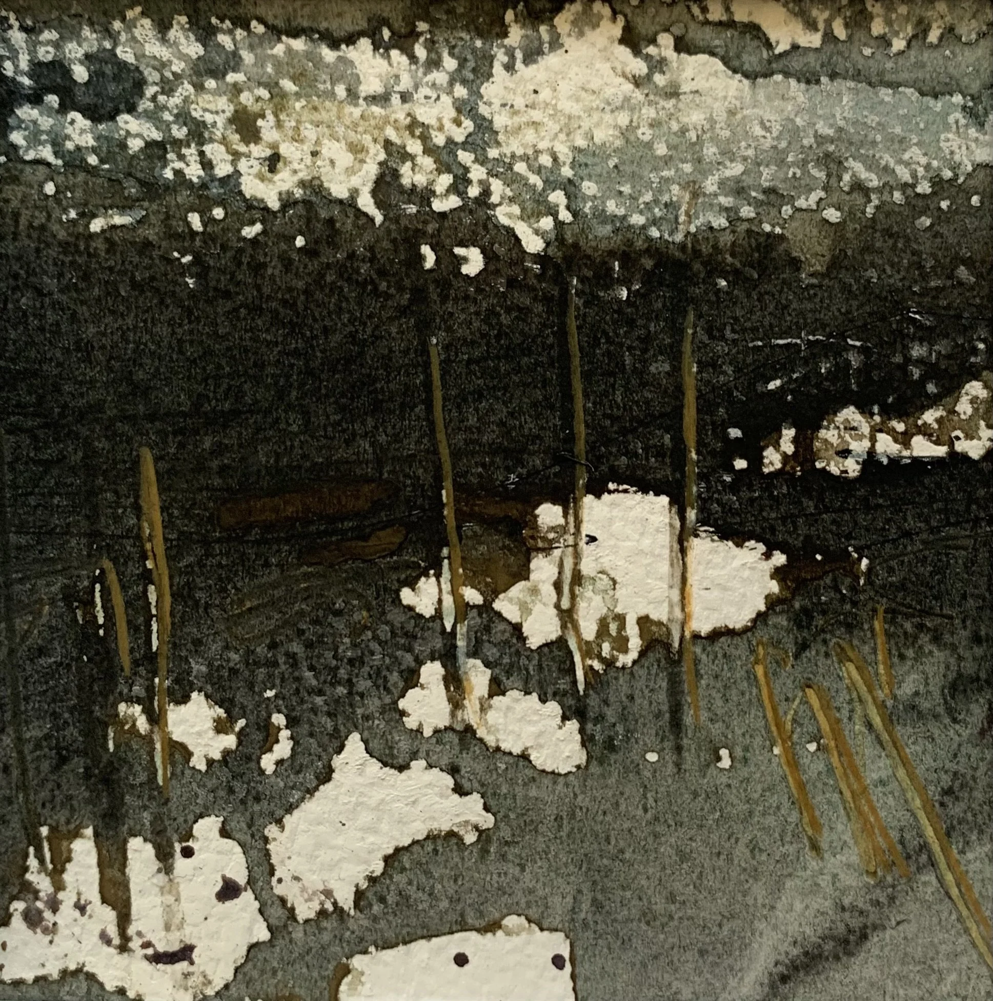 Marshland  Whispers IV C.jpeg