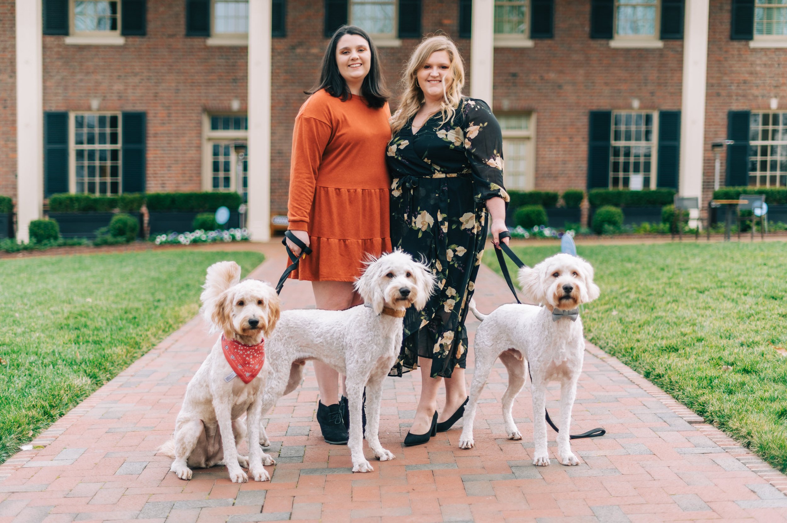  Engagement photos with dogs 