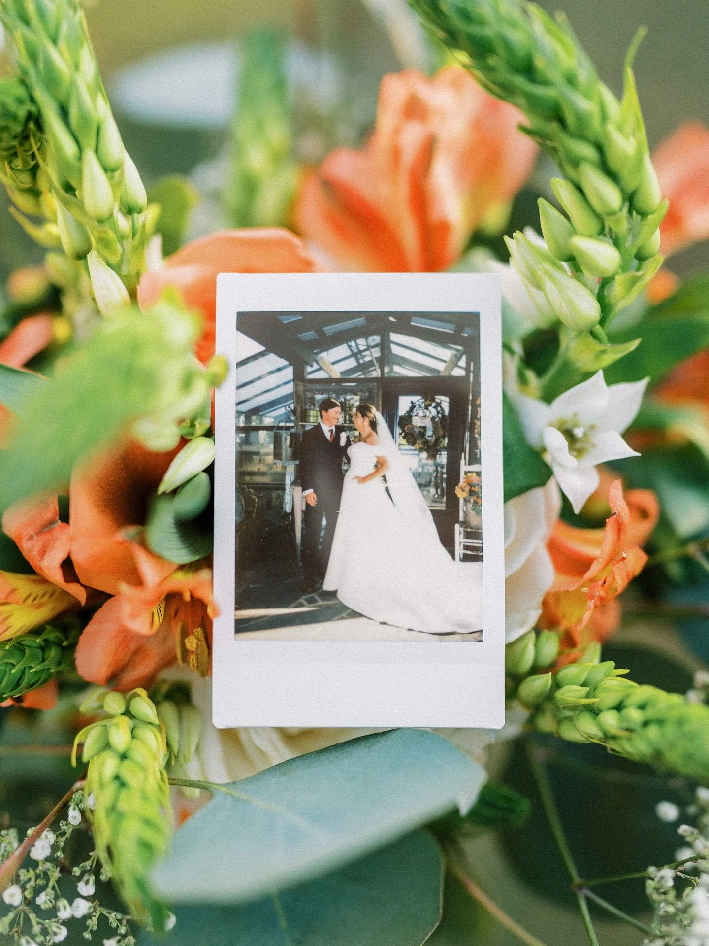 When burying the bourbon works🥃

Vendors:

Venue: @littleherbhouse
Photographer: @mtdphoto.co
Florals: @bloomsbythebox
Rentals: @curatedeventsraleigh
Gown: @simplyblushbridal
HMUA: @beaheadturner
Catering: @thelocalraleigh
Cake: @traditionssweet