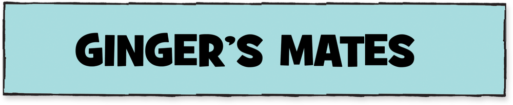 Meet the Gang — Ginger Meggs
