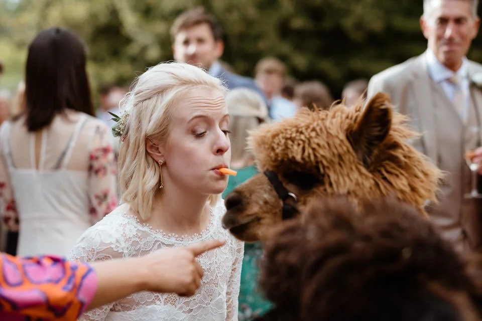 margauxdieter (600 van 997).jpg