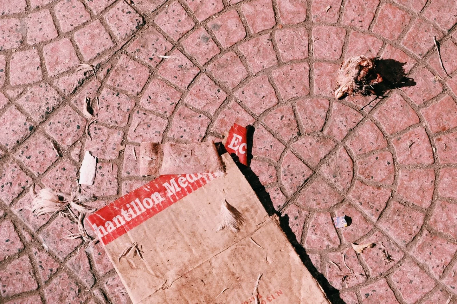 WhatsApp Image 2023-02-02 at 12.52.47.jpeg