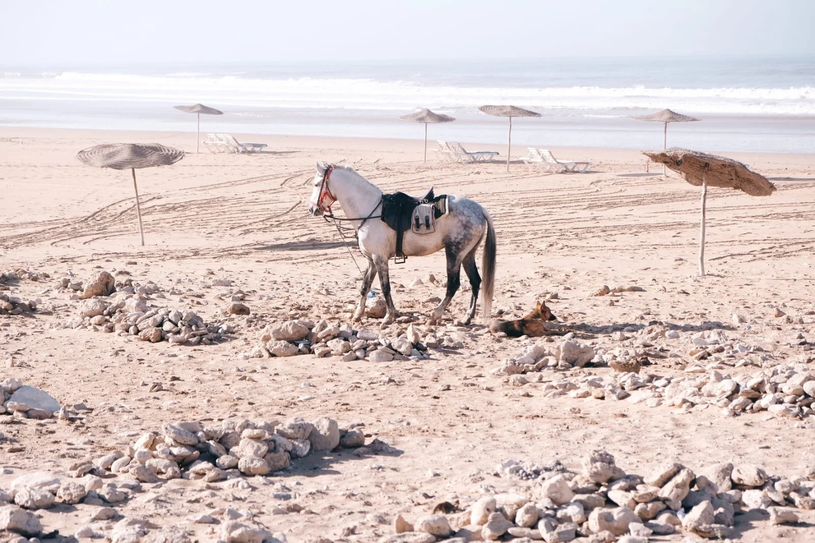 WhatsApp Image 2023-02-02 at 12.52.47 (1).jpeg