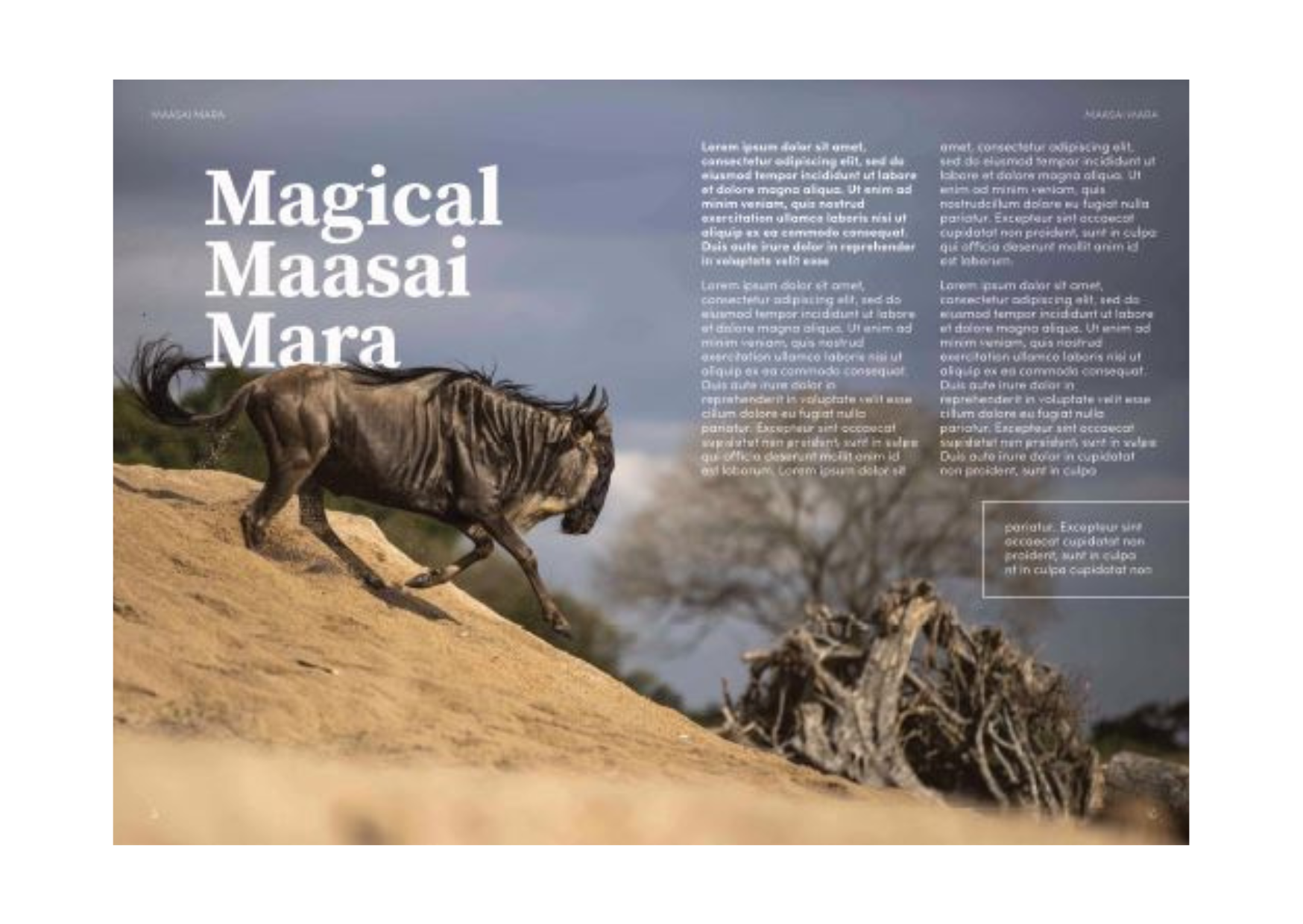 Kenya Guidebook — Wilder Guides