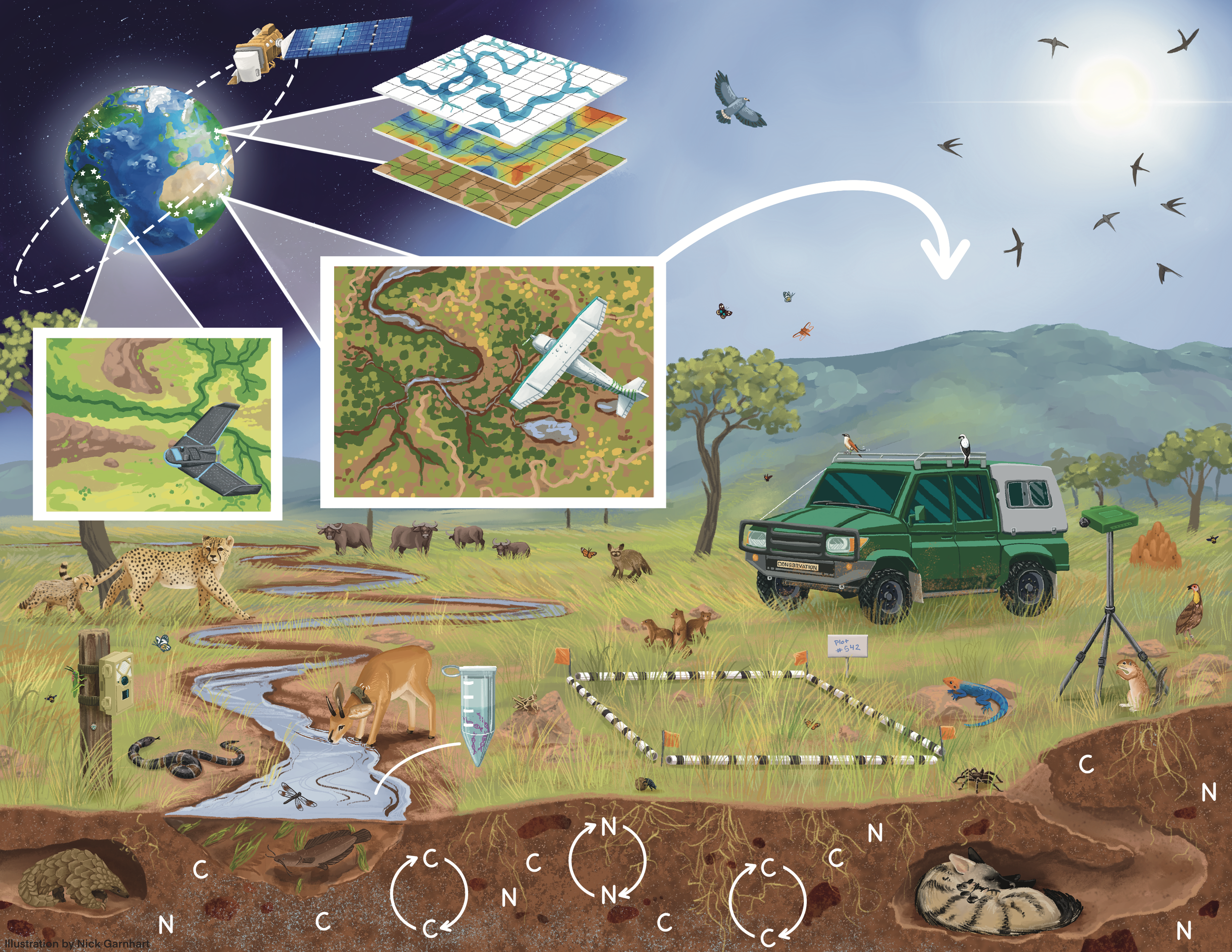 Graphical Abstract Final _02.png