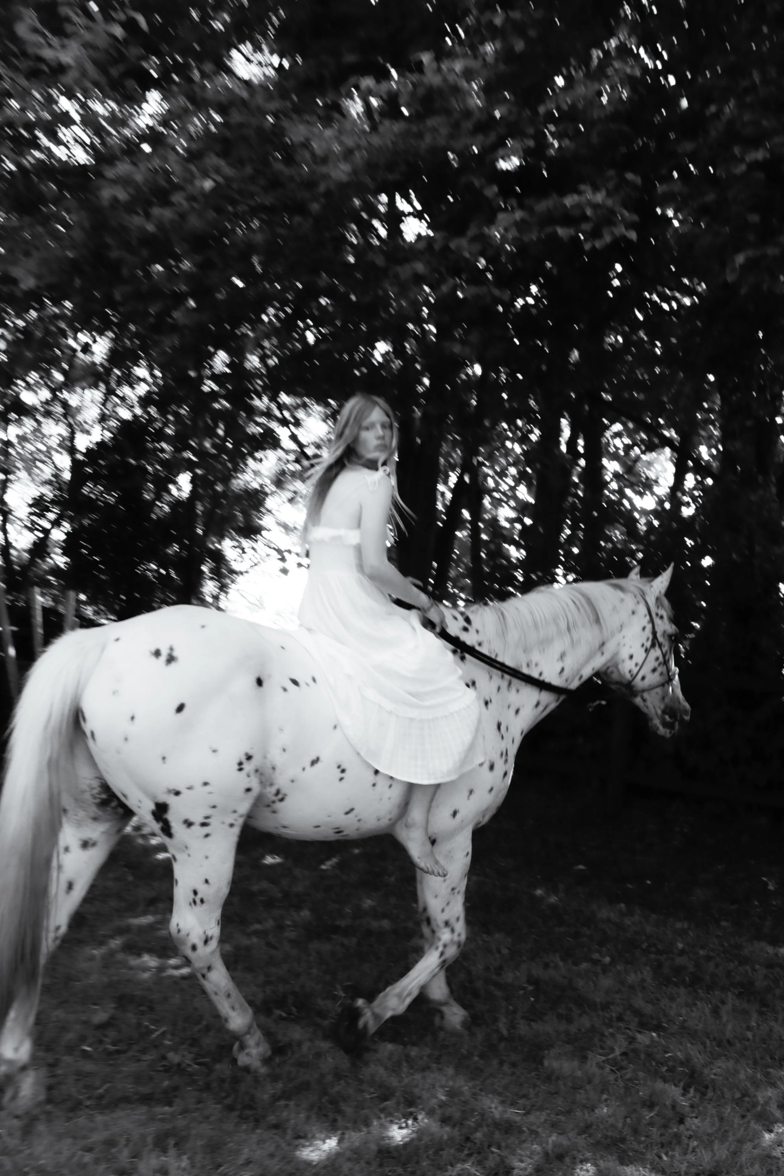 Love Me Tender Sienna Sleevesless Dress.jpg