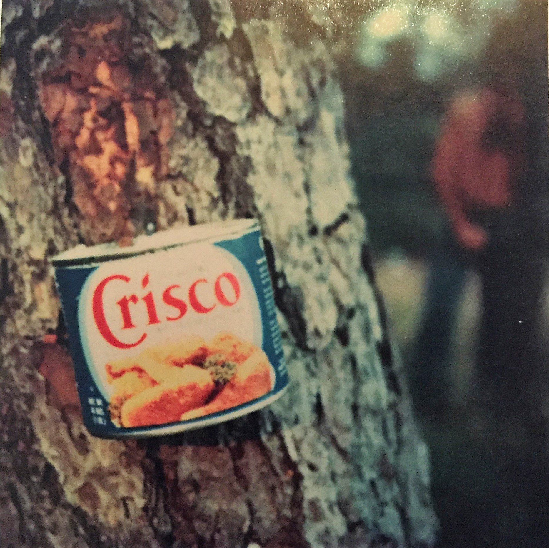 Just a Party  Crisco can 1979 Tom Bianchi.jpg