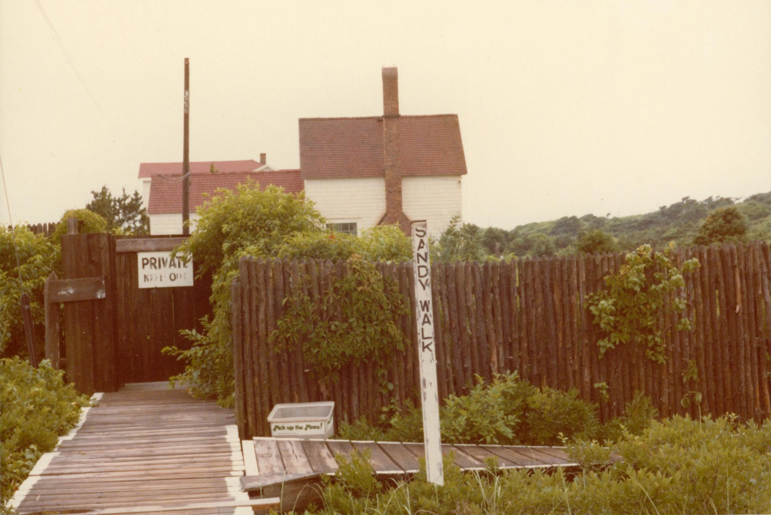 The History of Fire Island’s Carrington House — Fire Island Pines