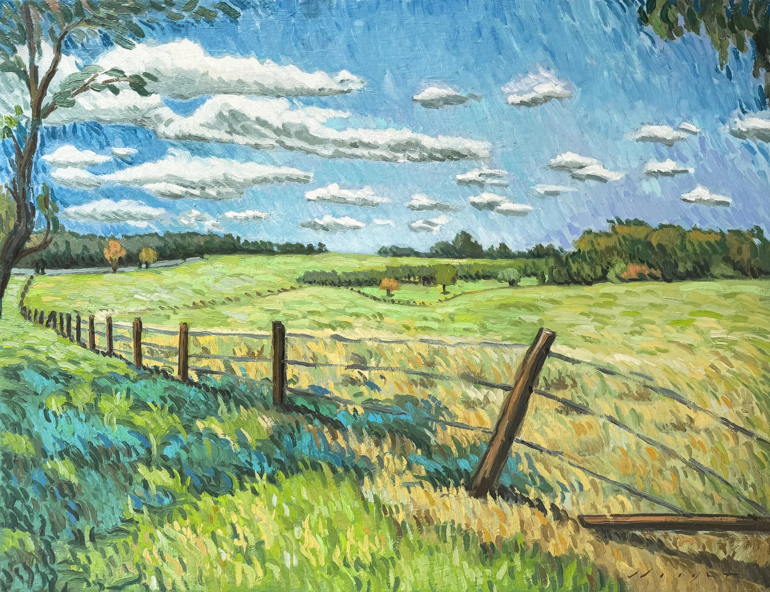 Paddocks in Yandina, Oil on Linen, 20" x 26", 
(Currently NFS)