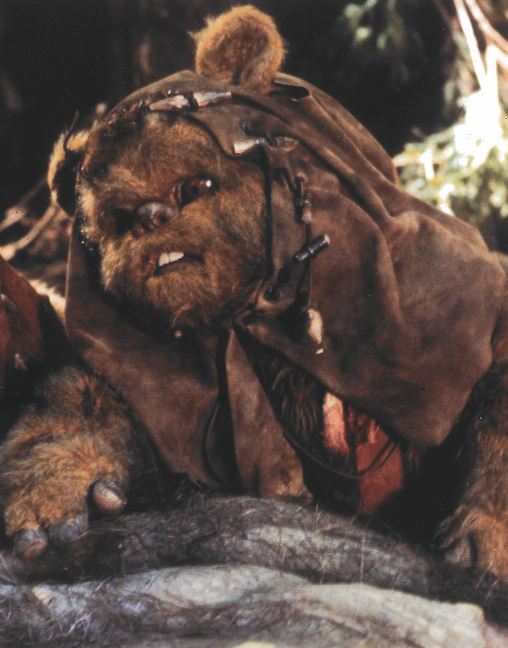 Screenshot 2026-02-23 at 4.31.31 PM.png