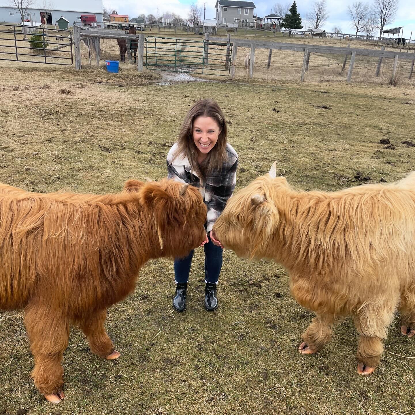 What&rsquo;s the definition of joy?

Farm animals. Period. Done. 
My heart is exploding. I just adore animals and they make me so happy. It was amazing to hangout with these fur angels and get a little taste test of one of my future manifestations. I