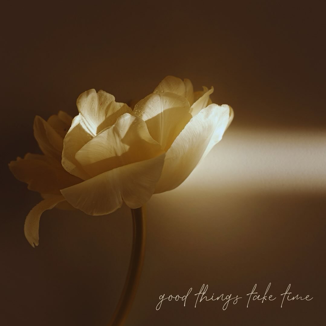 good things take time 

Happy Friday, Happy May, how the heck are you?

Straight up - April left my head spinning. Big breakthroughs, big heart breaks, big feels, big realizations. 

For me, May starts today. The first few days of May were fast, busy