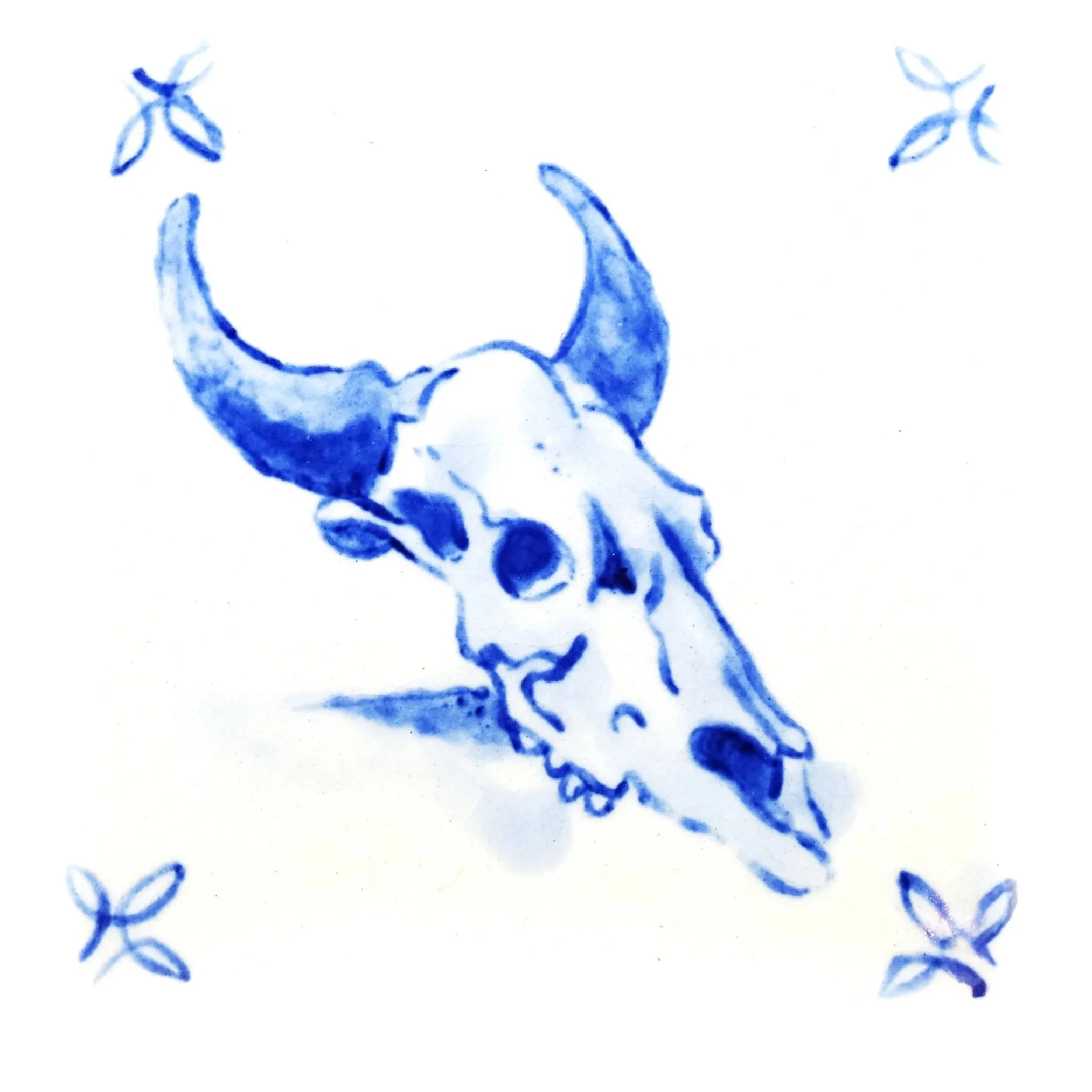 steer-skull+copy.jpg