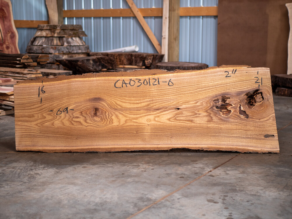Catalpa Wood Slab: CA-01-03 – Bluestone Organic