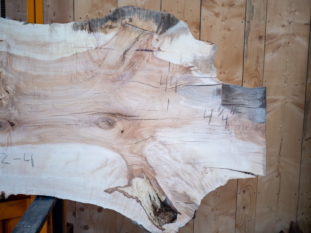 Live Edge Sugar Maple Slab Wood