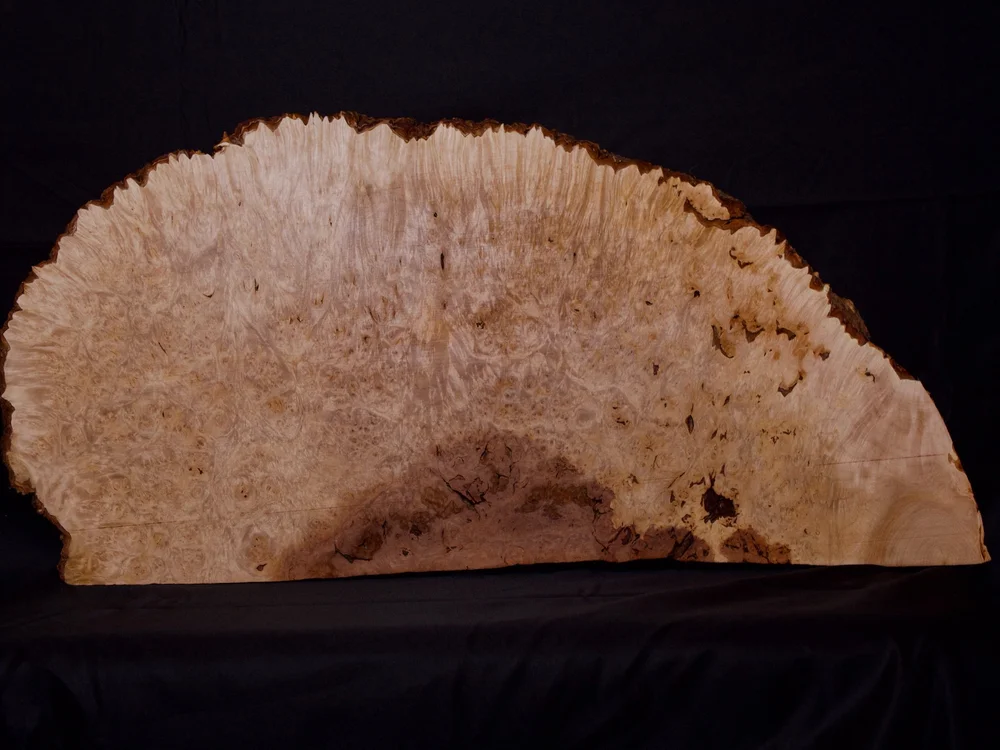ビリヤード maple leaf Big Leaf Maple Burl Billet 24”x12”x2” (MapleBillet-001) — Hillside