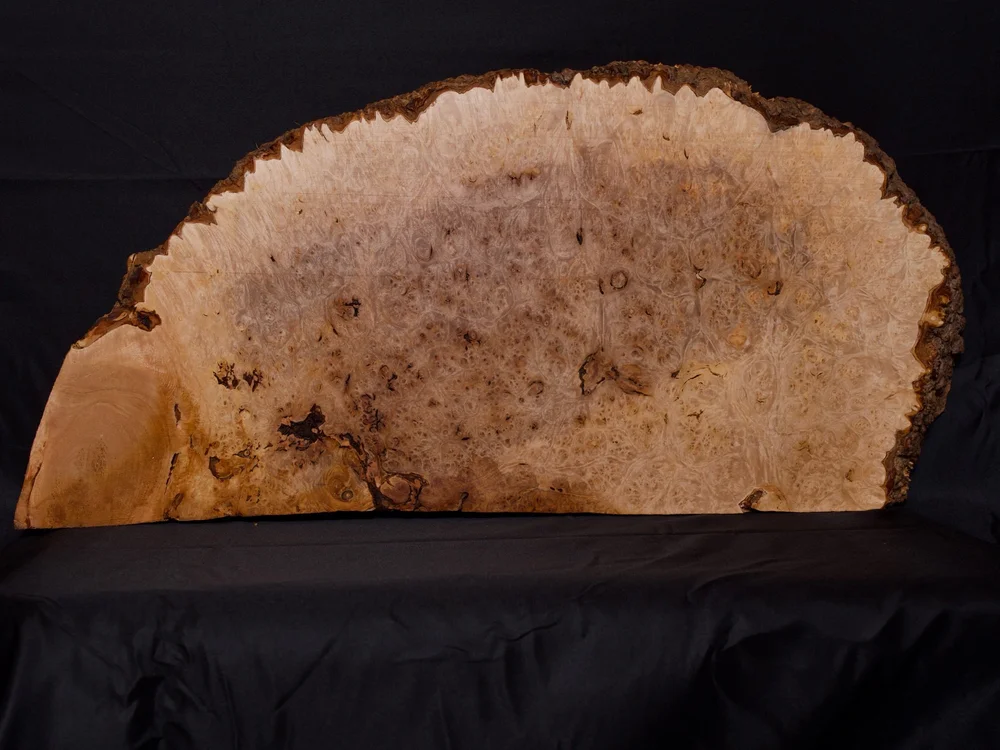 Big Leaf Maple Burl Billet 24”x12”x2” (MapleBillet-001) — Hillside