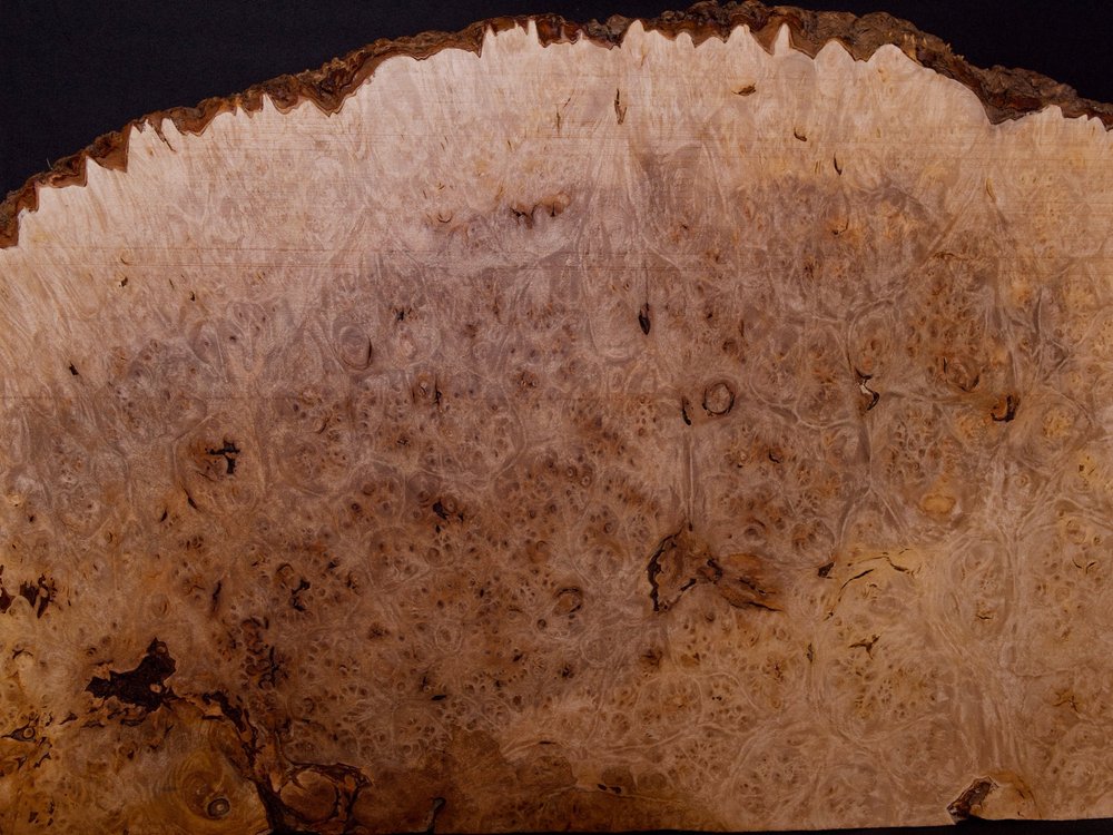 Big Leaf Maple Burl Billet 24”x12”x2” (MapleBillet-001) — Hillside