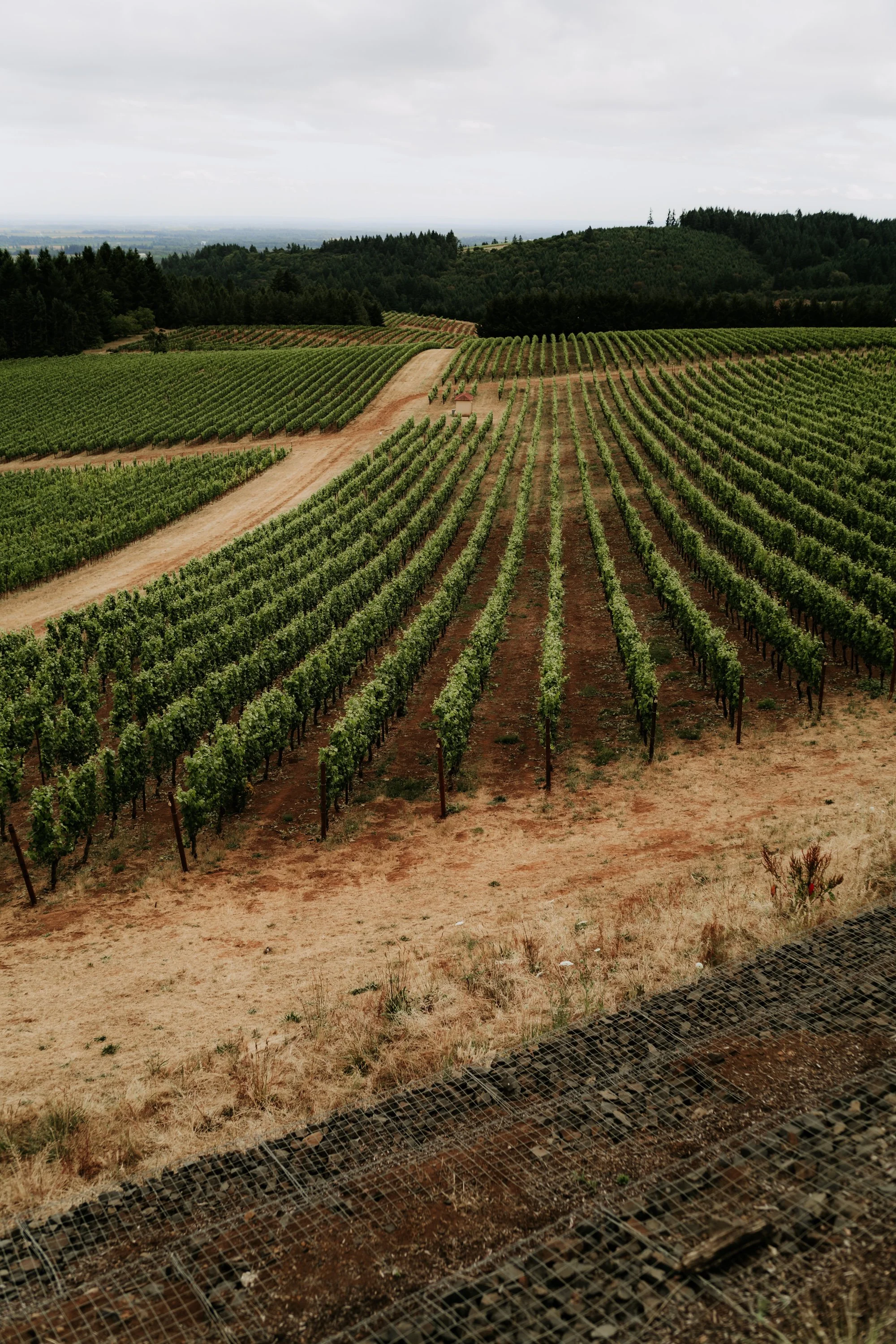 Edits for Foley-28.jpg