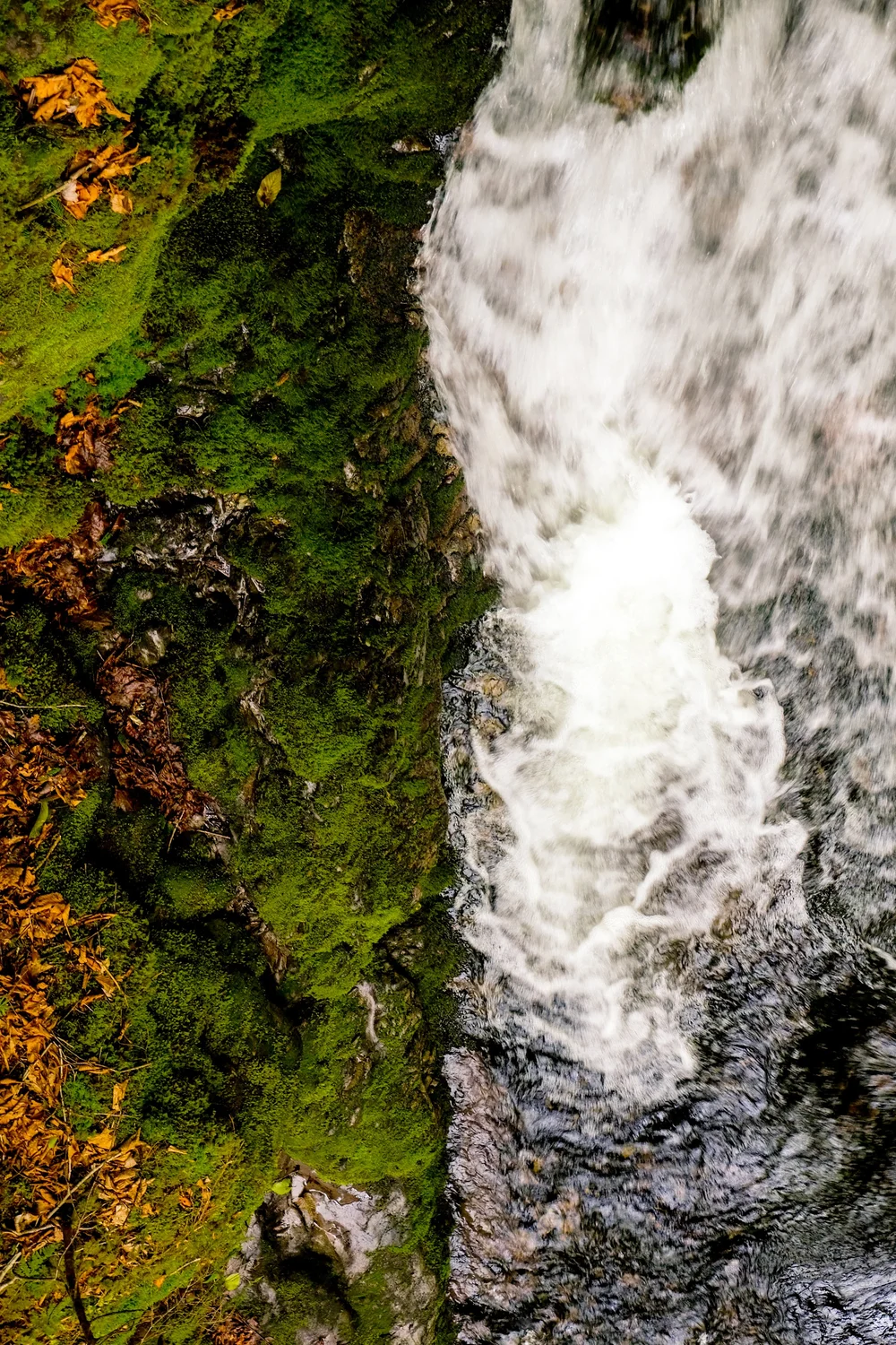 DSCF1187-1 (dragged).JPG