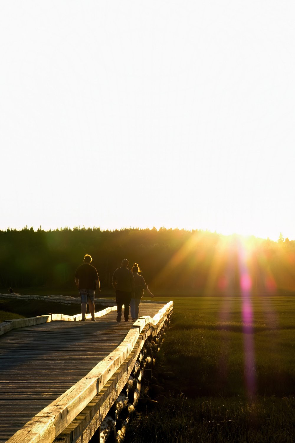 DSCF0773-DeNoiseAI-low-light 2.JPG