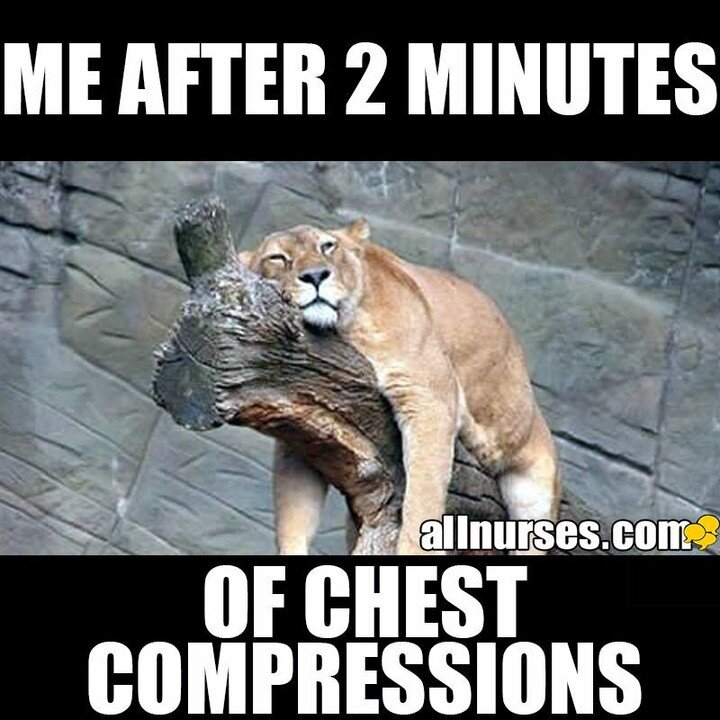 Happy Friday everyone. For those of you attending our course this weekend, I hope you feel better then this lion after you practice your chest compressions.