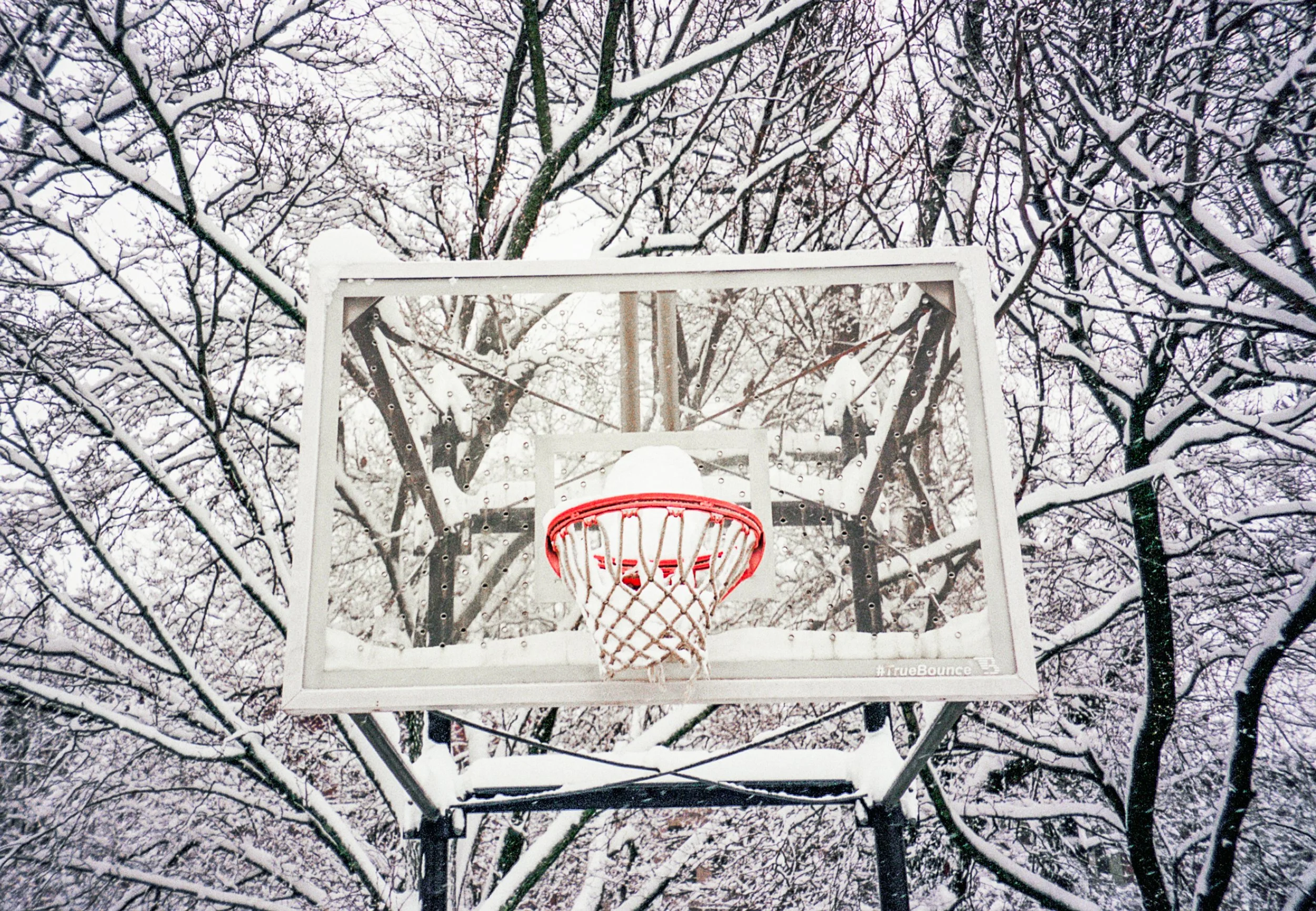 snowhoops-5.jpg