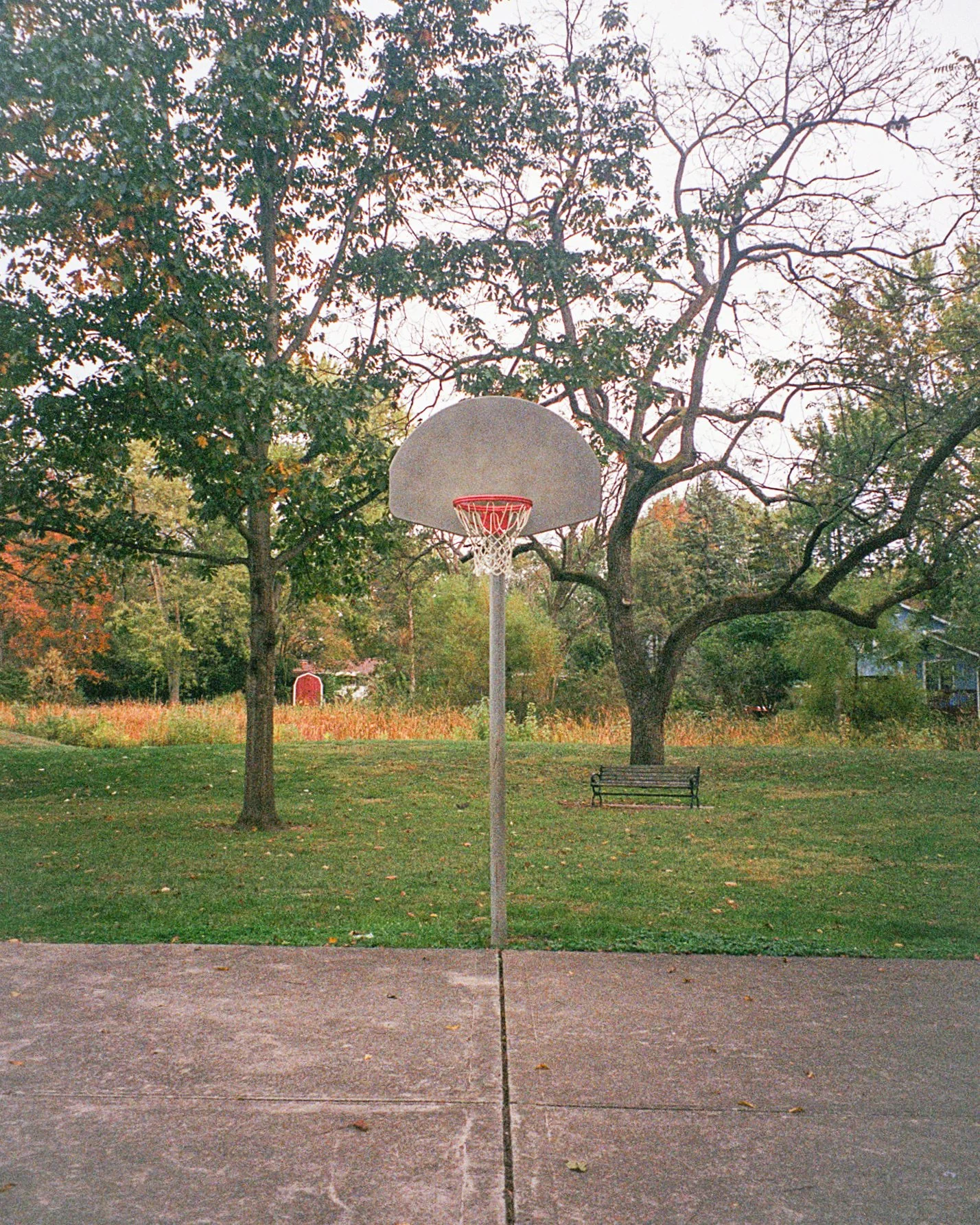 hoops-5.jpg