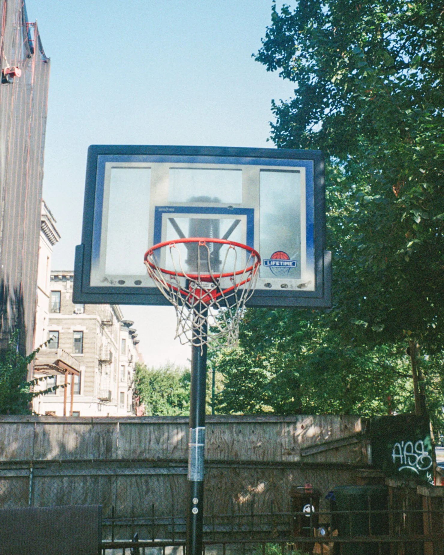 hoopwalk-2.jpg