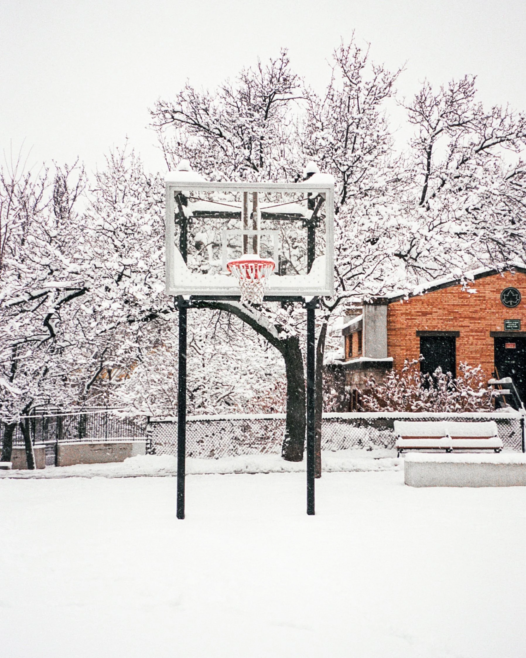 snowhoops-3.jpg