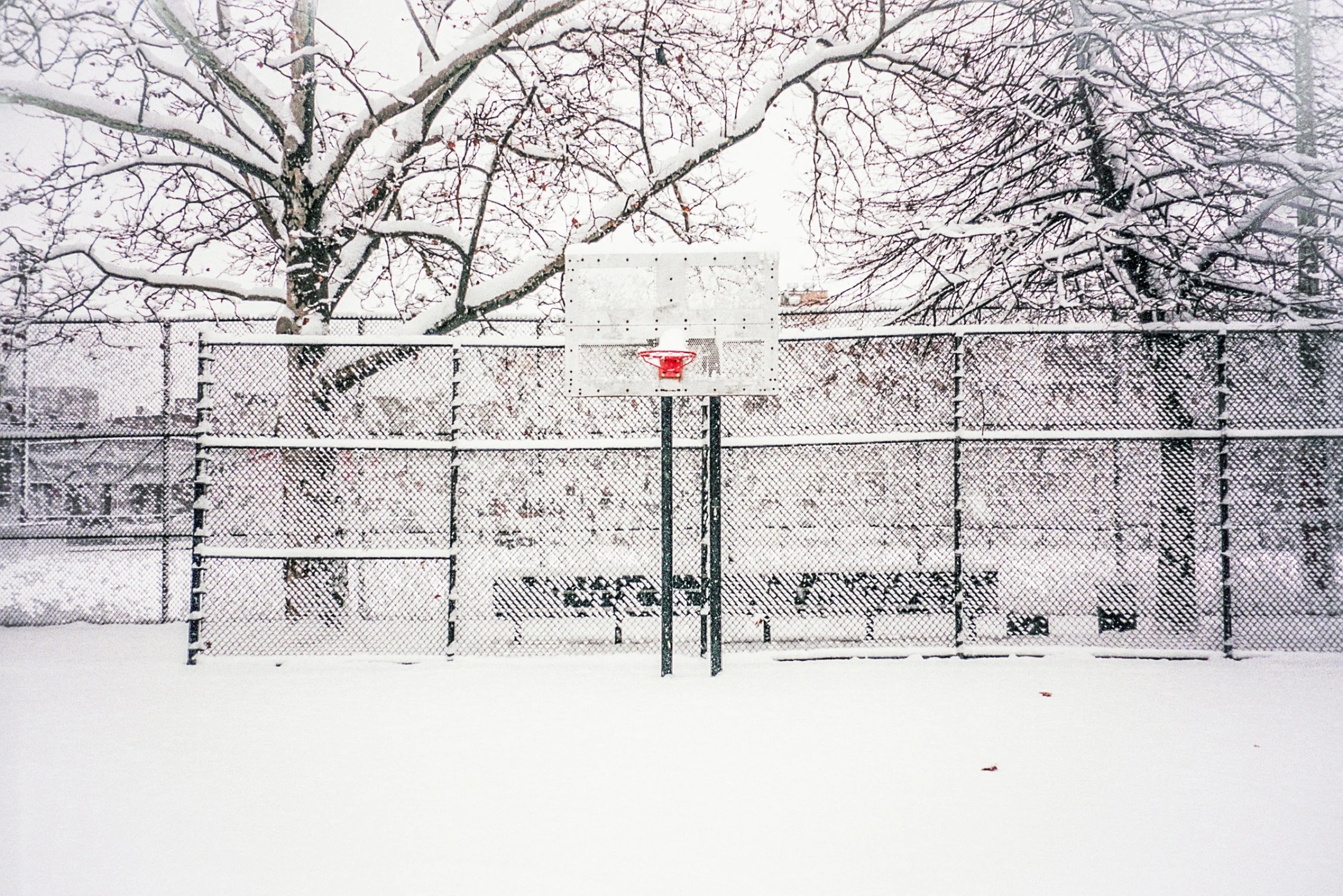 snowhoops-2.jpg