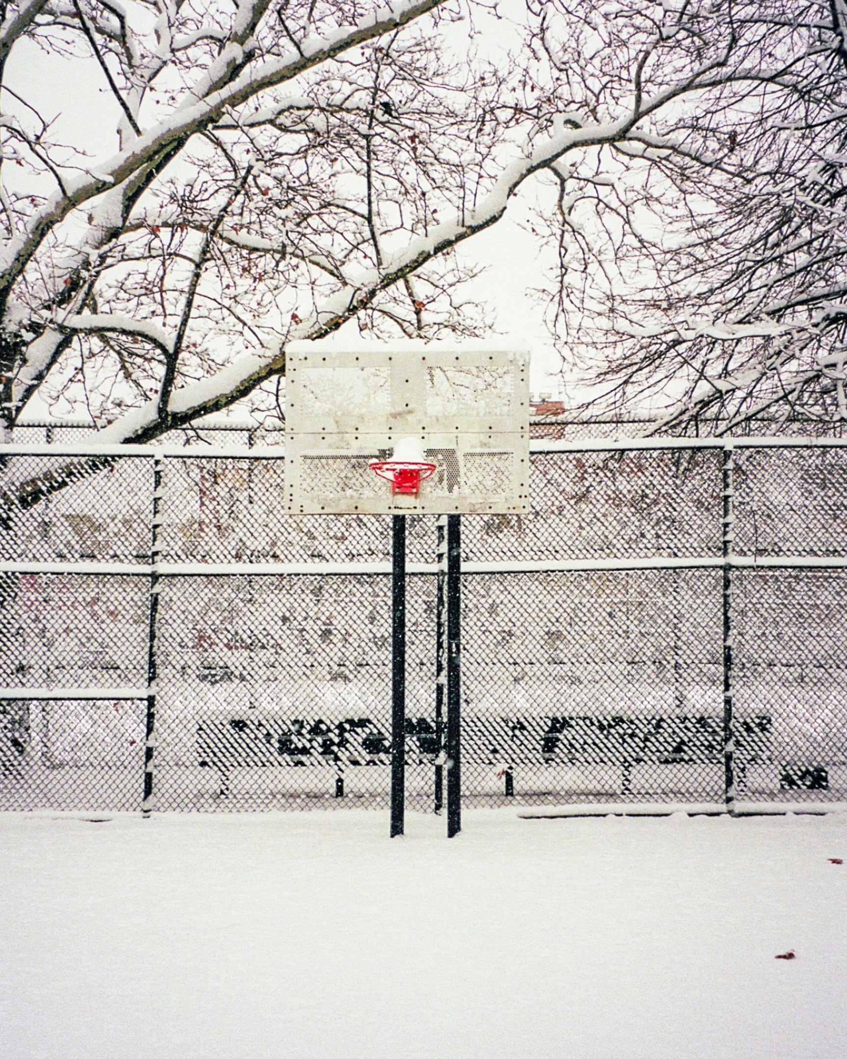 snowhoops-6.jpg