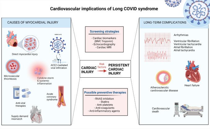 Behind the Scenes of Long COVID: Understanding the Causes of Exercise Intolerance - Physiological Factors