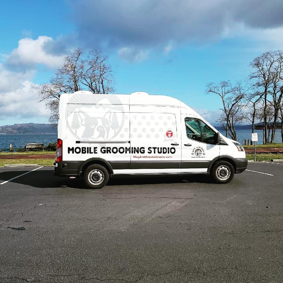 Another beautiful day in Astoria!  Looking forward to meeting and grooming all the local doggos!  Check out WagAndWanderStudio.com if you're interested. 

#mobilegrooming #astoriaoregon #doggrooming #doggroomer #northcoastoregon #petgrooming