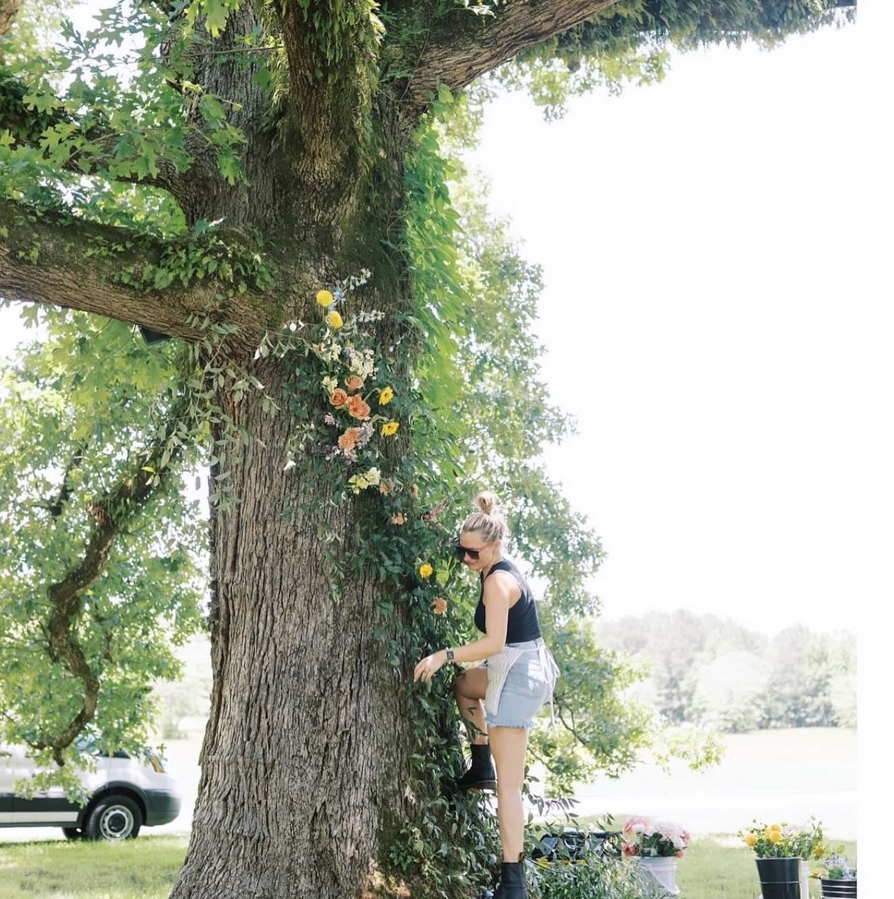 Casually scaling a tree nbd 😎😜 

*Alexa, play The Climb by Miley Cyrus*