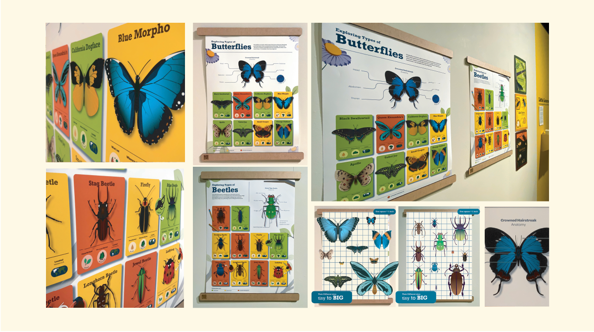 little-learners-tabitha-phelps