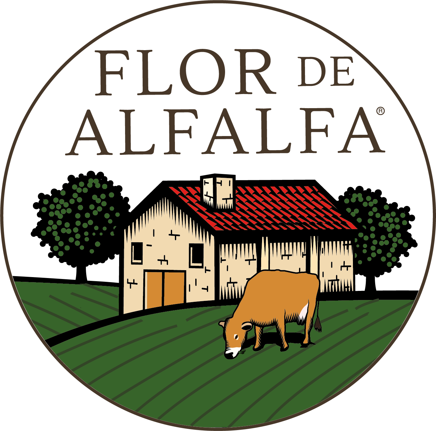 Flor de Alfalfa