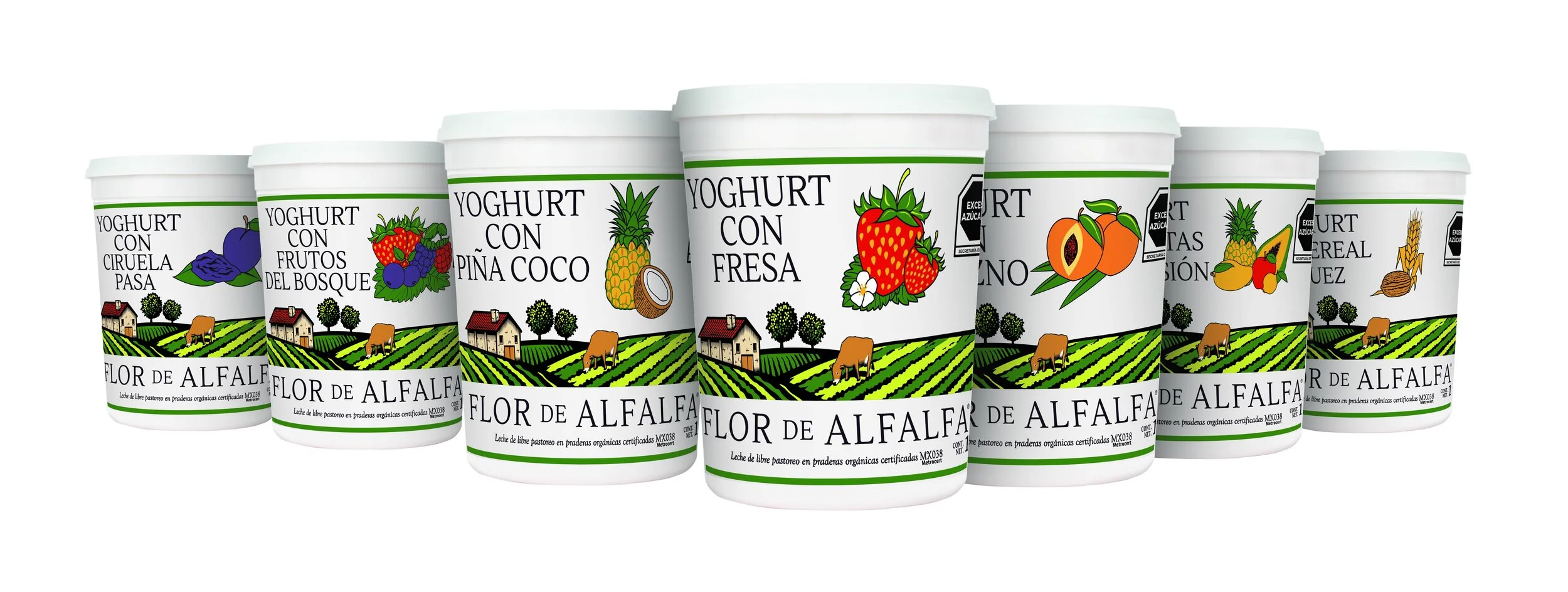 Yoghurt — Flor de Alfalfa