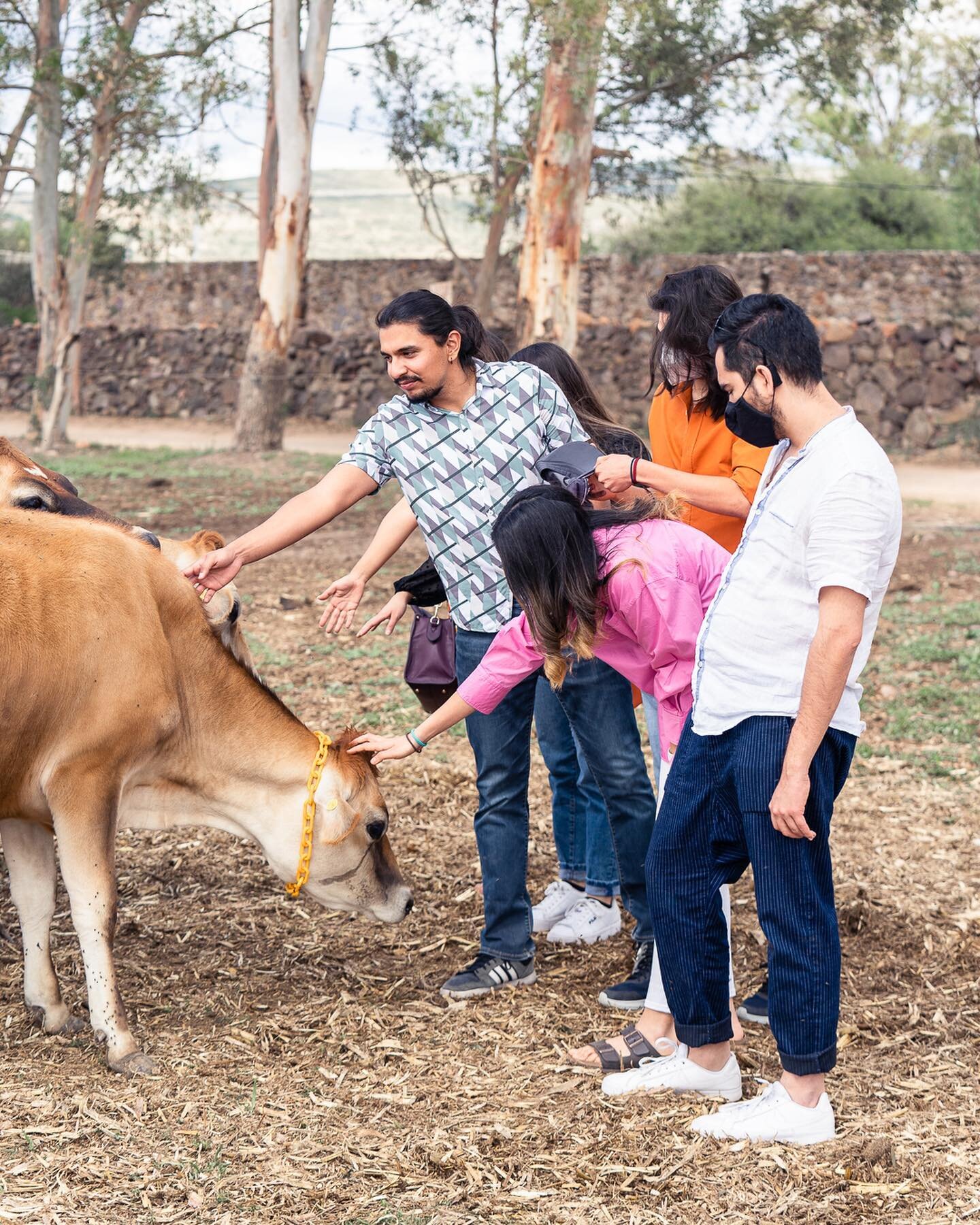 Queso, vacas, pizza y vino, &iquest;qu&eacute; m&aacute;s se puede pedir?

Este fin de semana vente a comer y pasar la tarde en nuestro jard&iacute;n y conoce a las vacas m&aacute;s curiosas y bonitas 🐮

Conoce las experiencias y reserva en nuestra 